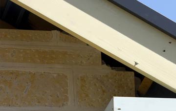 soffit repair Bletchingdon